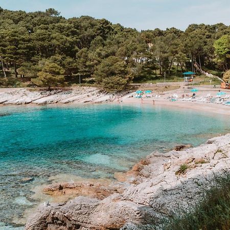 Studio Apartment Pinetree - Mali Lošinj Екстериор снимка